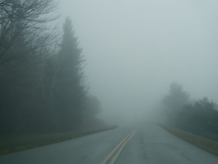 A road vanishing into fog between dark trees